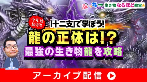 十二支 龍|【生き物の雑学】十二支でなぜ龍がいる？ 